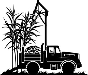 Sugar Cane Loader