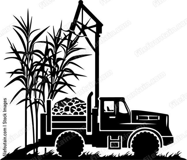 Sugar Cane Loader