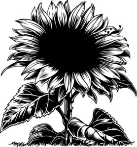 Sunflower Seeds