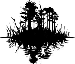 Swamp
