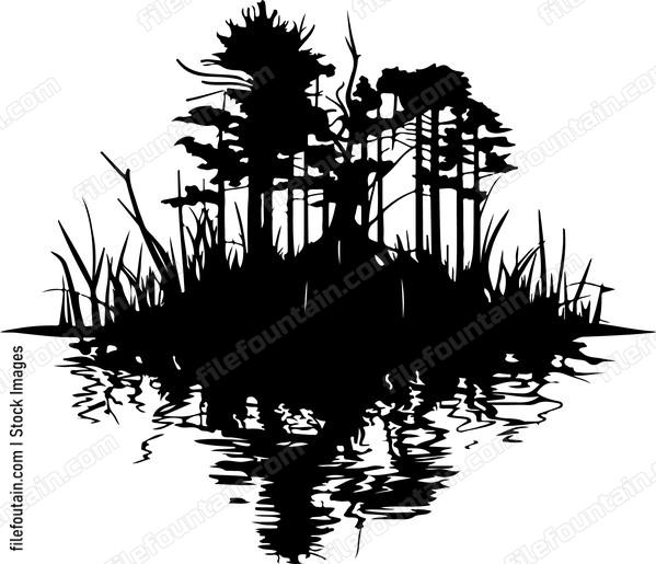 Swamp