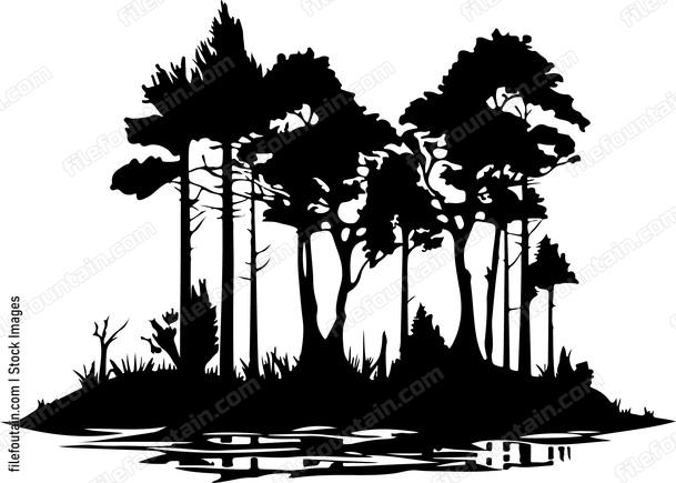 Swamp Forest