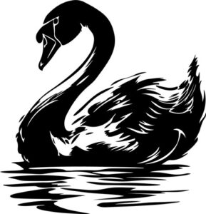 Swan
