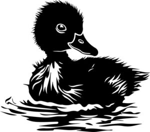 Swimming Duckling Baby