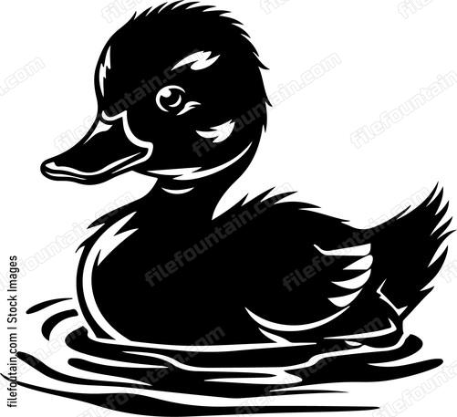 Swimming Duckling Baby