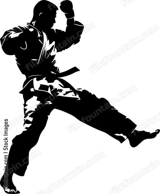 Taekwondo
