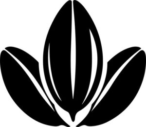 Three almond nut shells