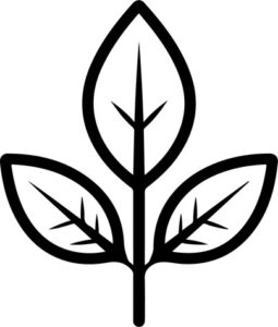 Three leaf plant outline