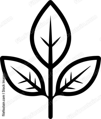 Three leaf plant outline