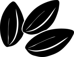 Three sunflower seeds