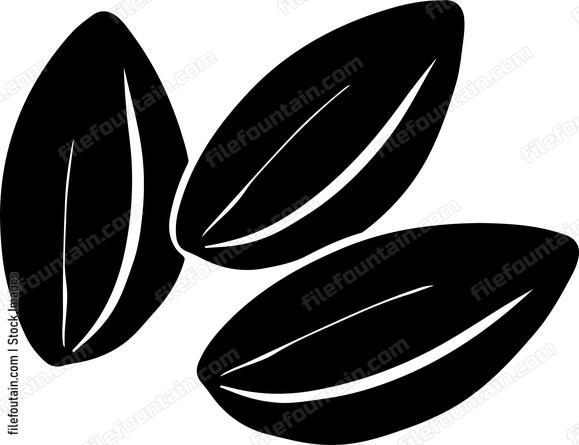 Three sunflower seeds