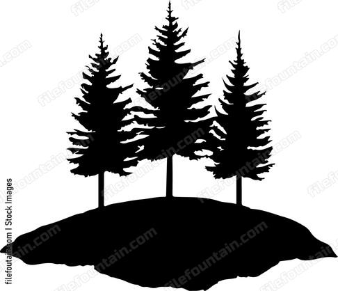 Three trees on hill