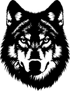 Timber Wolf