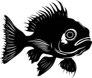 Toadfish