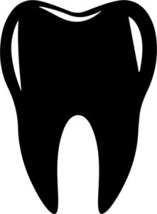 Tooth with two outlines