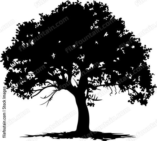 Tree Lopping