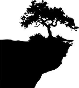 Tree On A Cliff