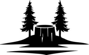 Tree stump with two trees