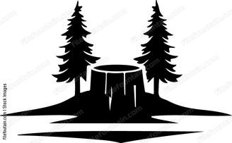Tree stump with two trees