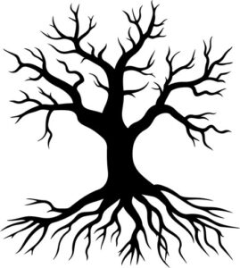 Tree with roots