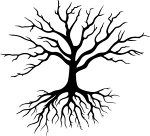 Tree with roots