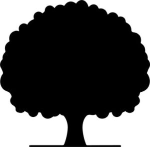 Tree with round hole in the trunk