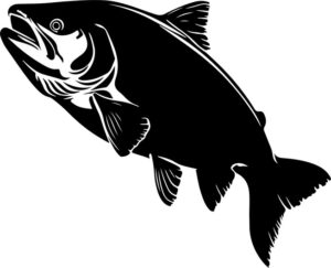 Trout