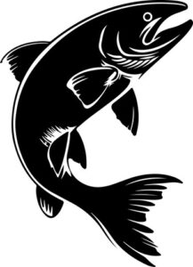 Trout Fishing