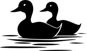 Two ducks in water