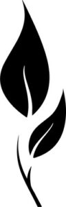Two leaves