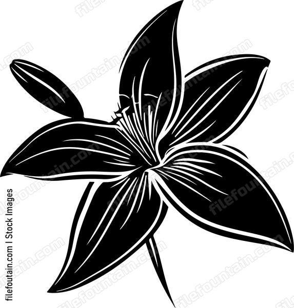 Vanilla Flower