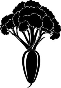 Vegetable