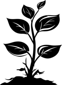 Vegetation