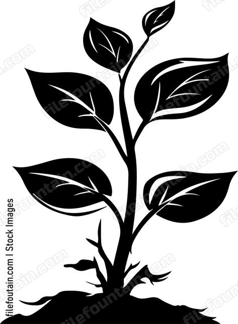 Vegetation