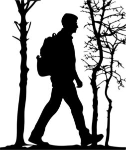 Walking In Forest