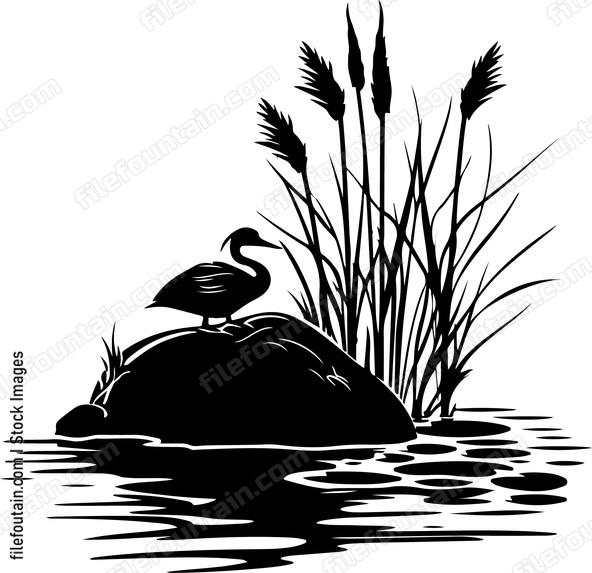 Wetland
