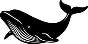 Whale