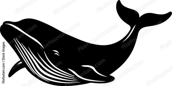 Whale