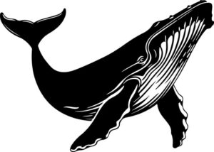 Whale