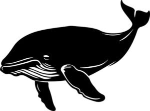 Whale