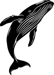 Whale Eating Fish