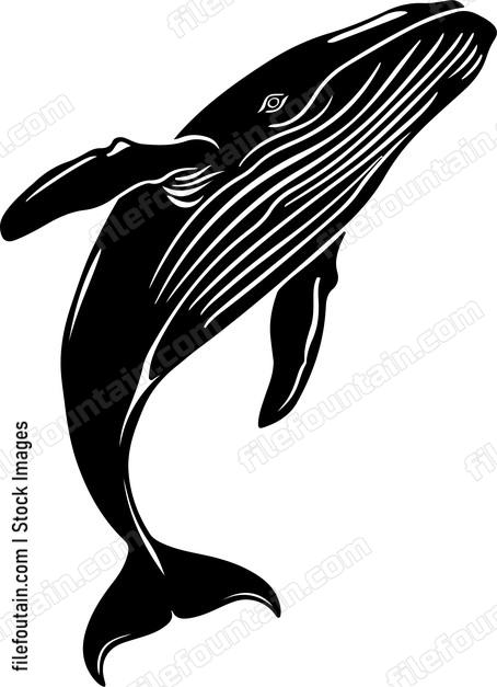Whale Eating Fish