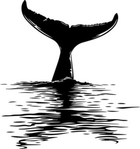 Whale Tail In Sea