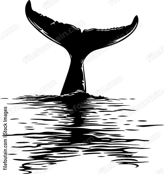 Whale Tail In Sea