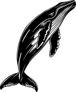 Whale Top View
