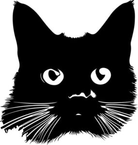 What Part Of Meow Dont You decff df