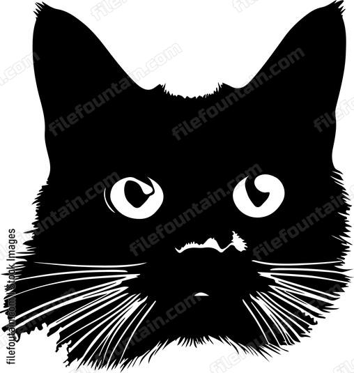 What Part Of Meow Dont You decff df