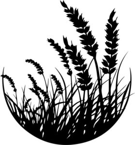 Wheat Circle