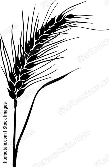 Wheat Stalk