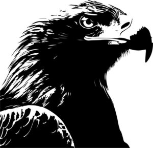 White Tailed Eagle Simple